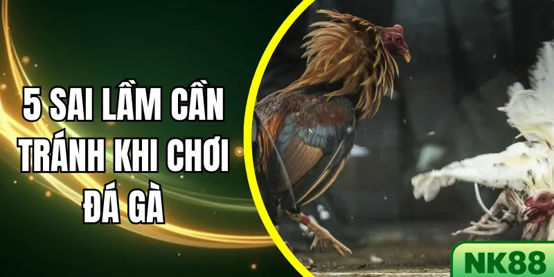 5 Sai lầm cần tránh khi chơi đá gà NK88 giúp tăng tỷ lệ thắng