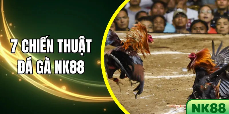 7 Chiến Thuật Đá Gà NK88 Giúp Người Chơi Tăng Tỷ Lệ Thắng
