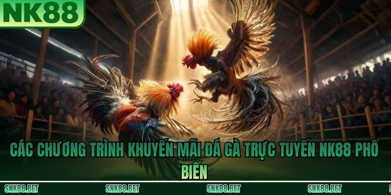 Hướng Dẫn Nhận Khuyến Mãi Đá Gà Trực Tuyến NK88