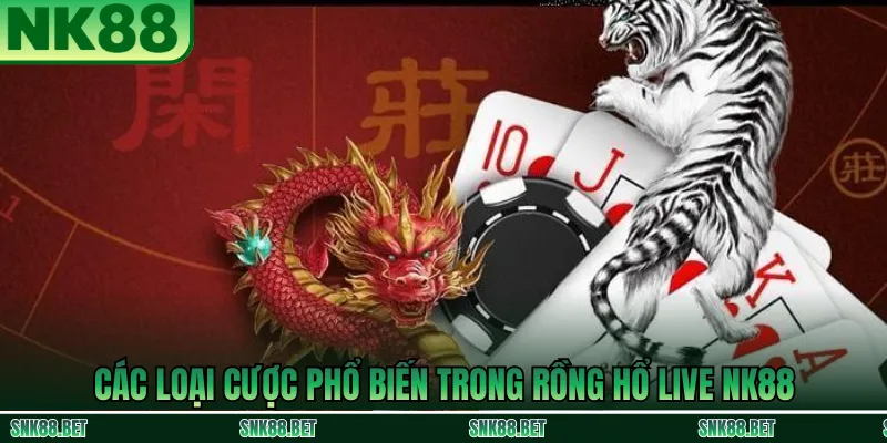 Cách Chơi Rồng Hổ Hiệu Quả