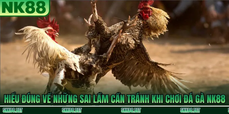 Tổng Quan Về Đá Gà NK88