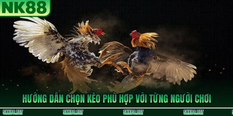 Kèo Tài Xỉu Đá Gà