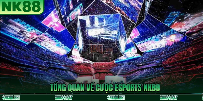 Tổng Quan Thị Trường Cược Esports