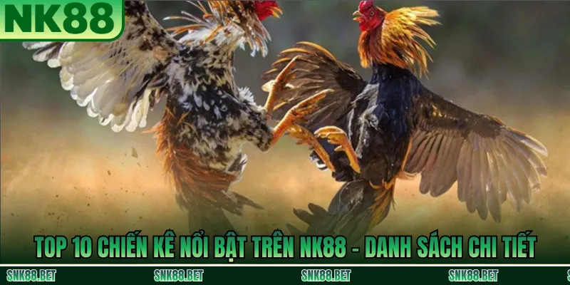 Danh sách top 10 chiến kê