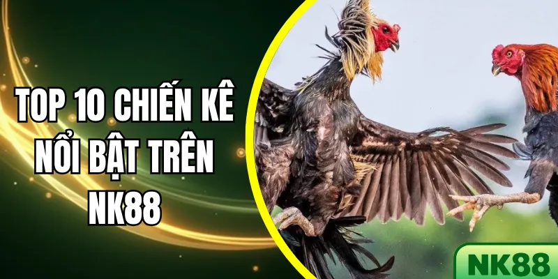 Top 10 chiến kê nổi bật trên NK88 được theo dõi nhiều nhất