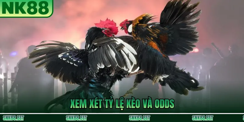Chiến Thuật Đánh Kèo Đá Gà NK88