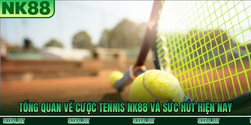 Tổng Quan Về Cược Tennis Trên NK88