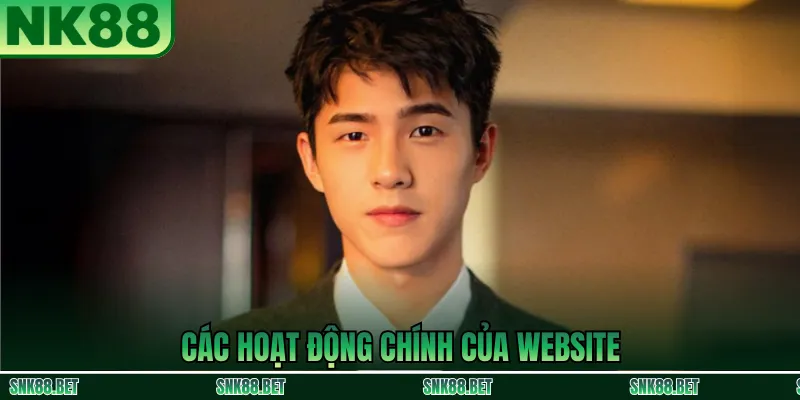 Các Hoạt Động Chính Của Website